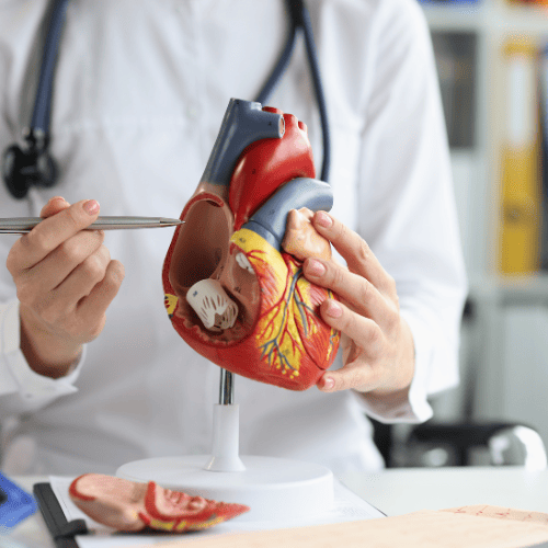 medico-cardiologo-costo-